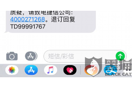 广东广东专业催债公司，专业催收